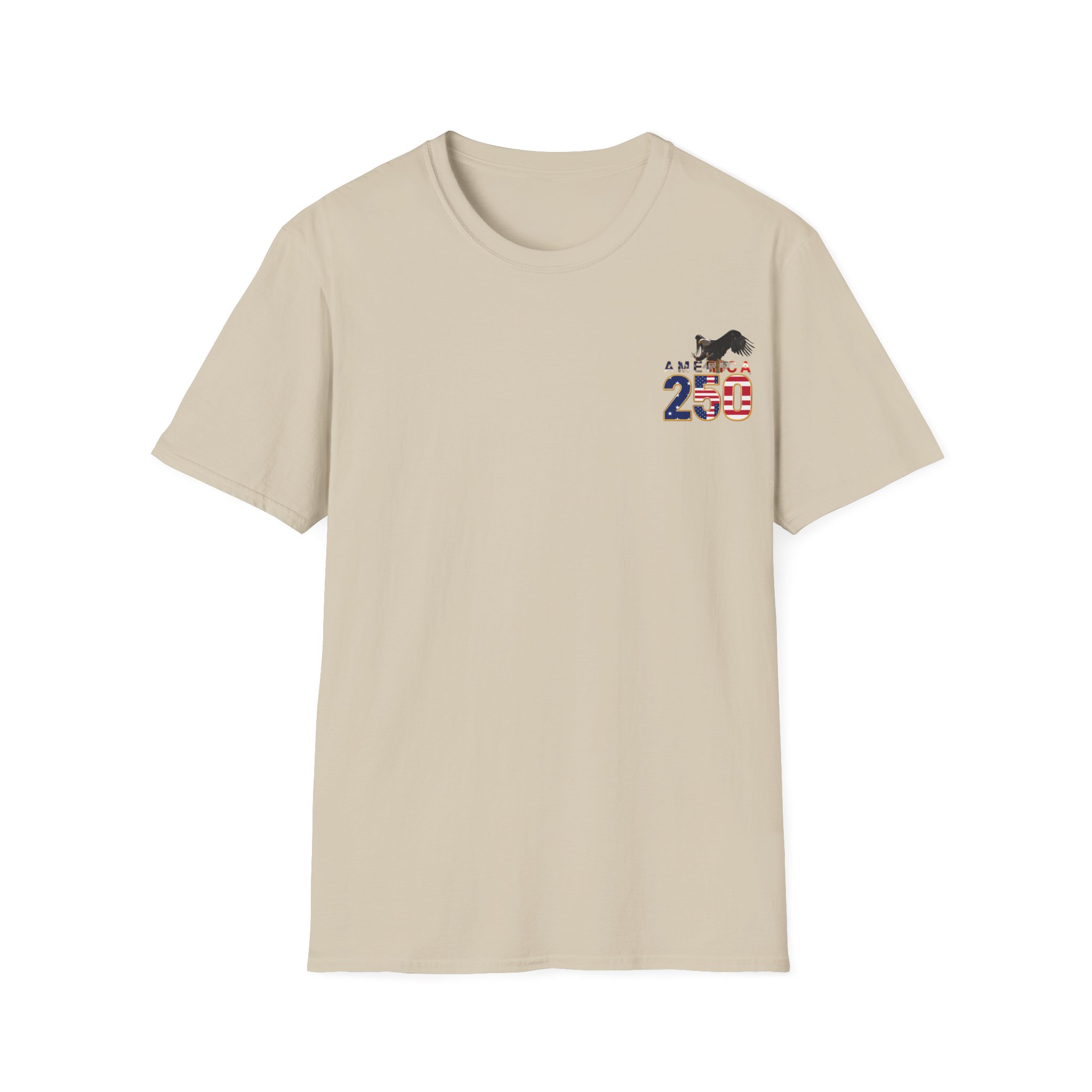 Florida Veteran T-Shirt — Proud American Flag Military Tribute - Image 19